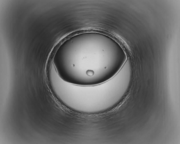 X0000116650876200912211445