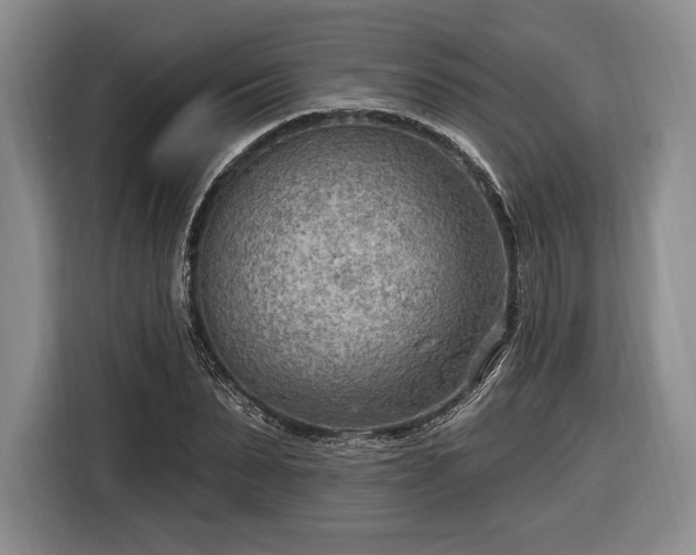 X0000116650879200912211445