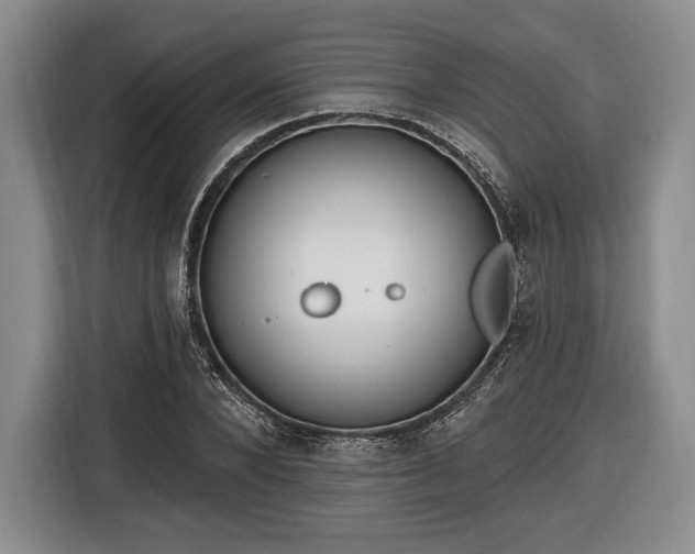 X0000116650880200912211445