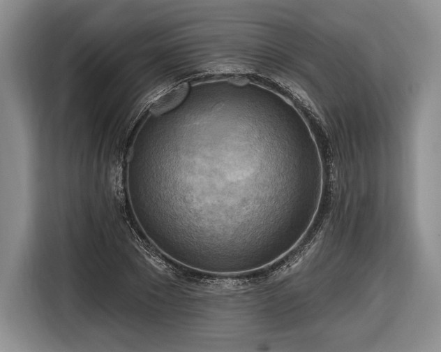 X0000116650881200912211445