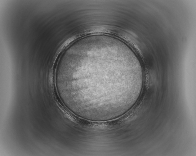 X0000116650882200912211445