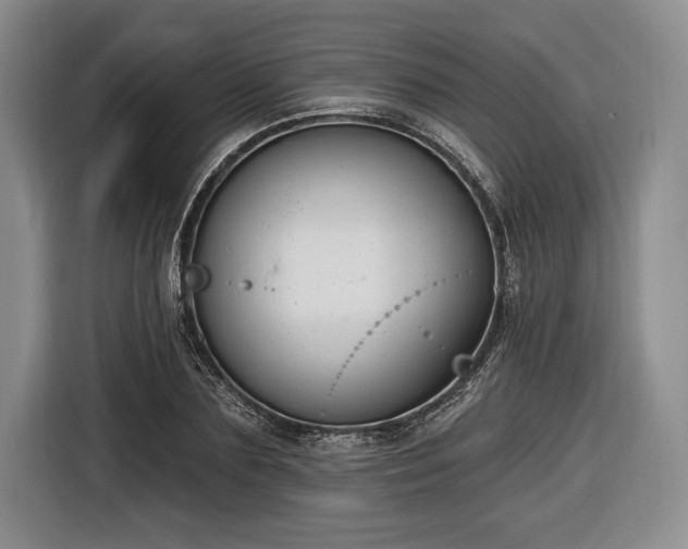 X0000116650883200912211445