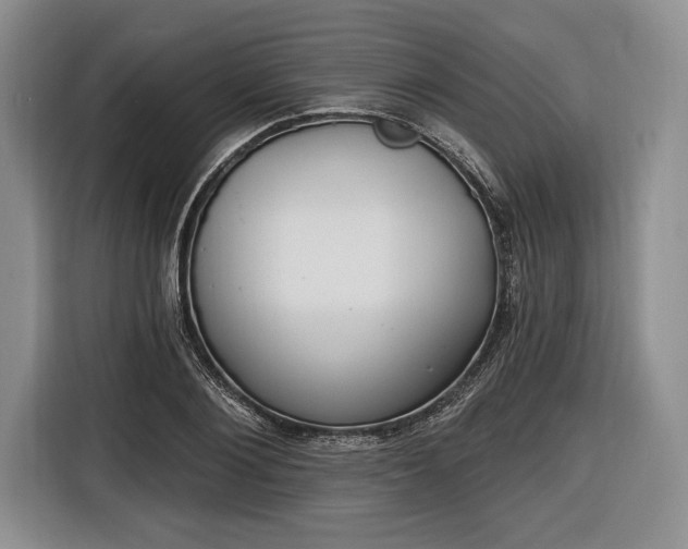 X0000116650884200912211445