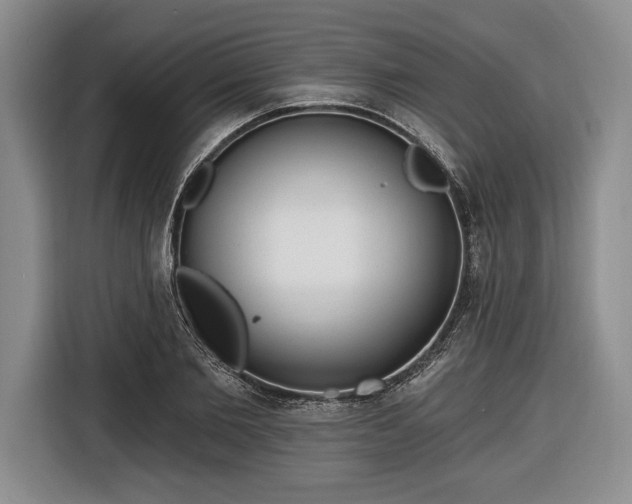 X0000116650885200912211445