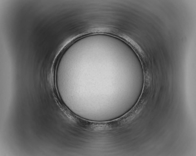 X0000116650886200912211445