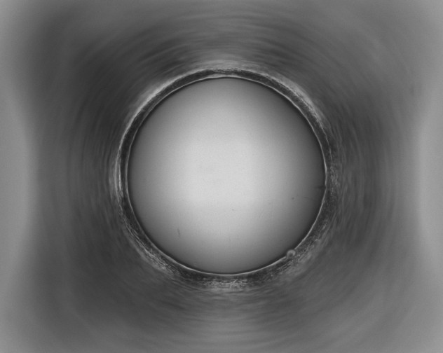 X0000116650887200912211445