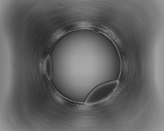 X0000116650889200912211445