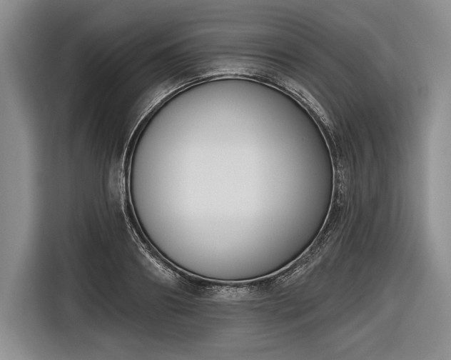 X0000116650890200912211445