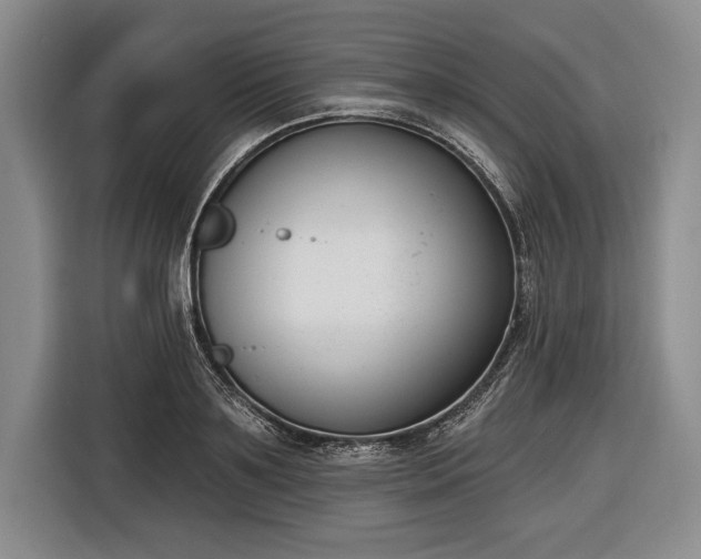 X0000116650891200912211445