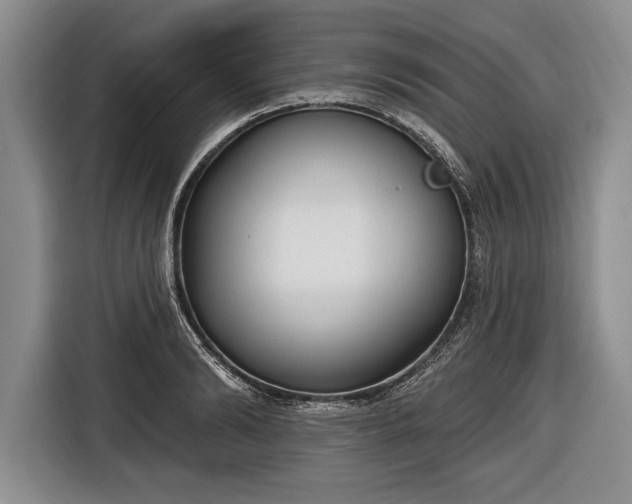 X0000116650894200912211445