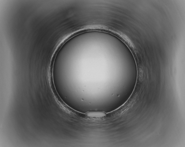 X0000116650895200912211445
