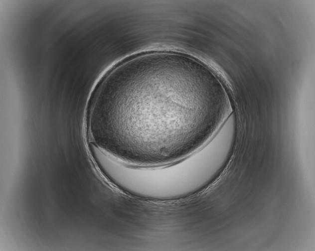 X0000116650896200912211445