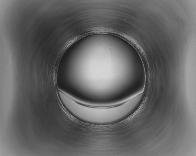 X0000116650897200912211445