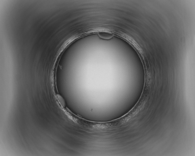 X0000116650898200912211445