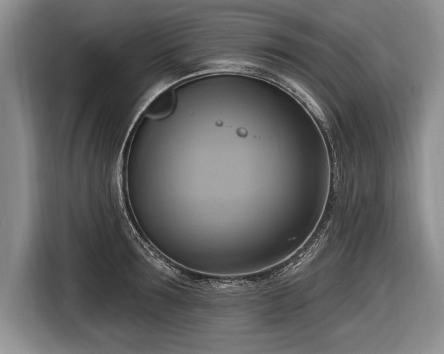 X0000116650899200912211445