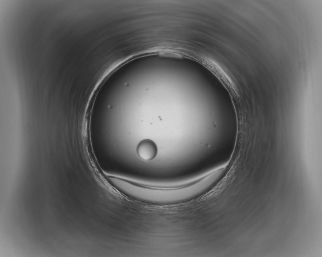 X0000116650900200912211445