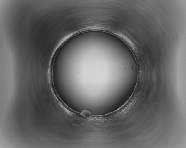 X0000116650902200912211445