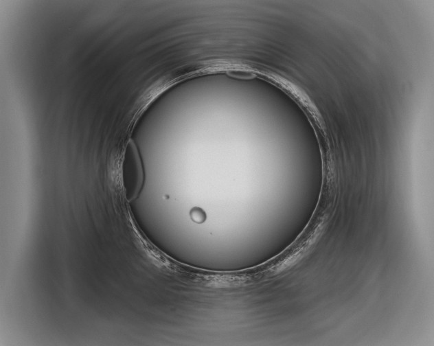 X0000116650905200912211445