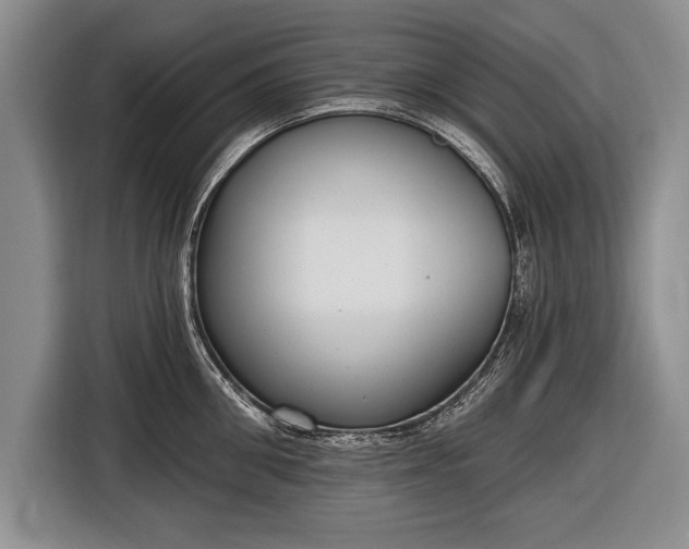 X0000116650906200912211445
