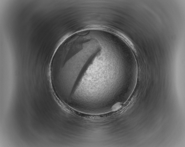X0000116650907200912211445