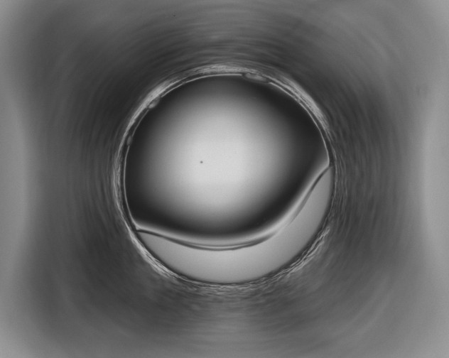 X0000116650909200912211445