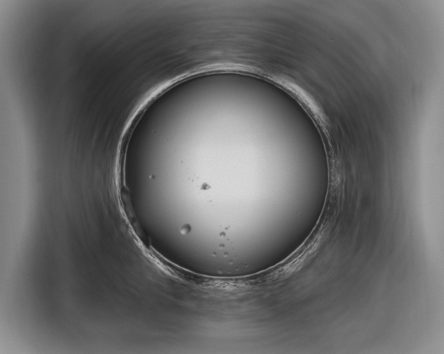 X0000116650910200912211445