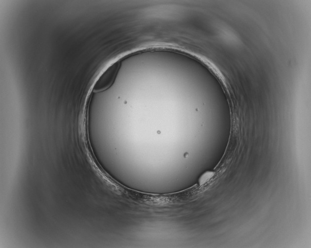 X0000116650911200912211444
