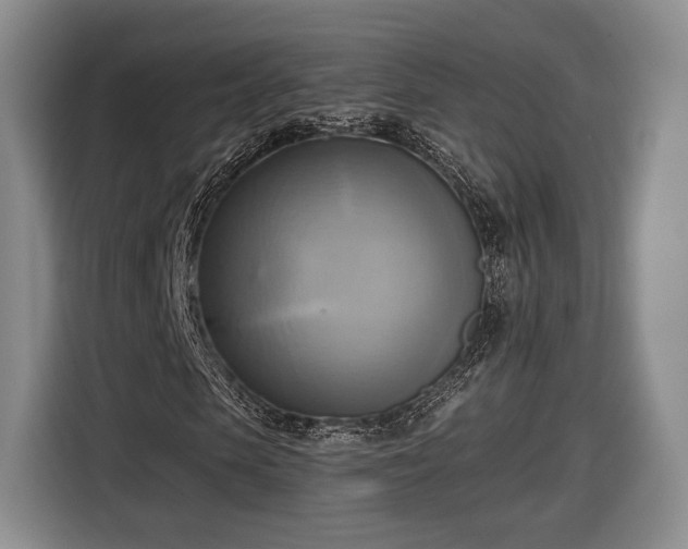 X0000116650913200912211444