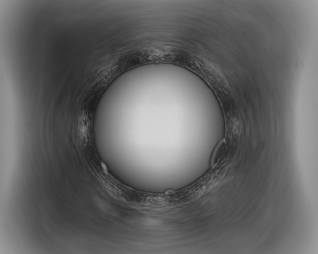 X0000116650914200912211444