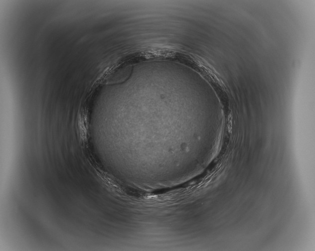 X0000116650915200912211444