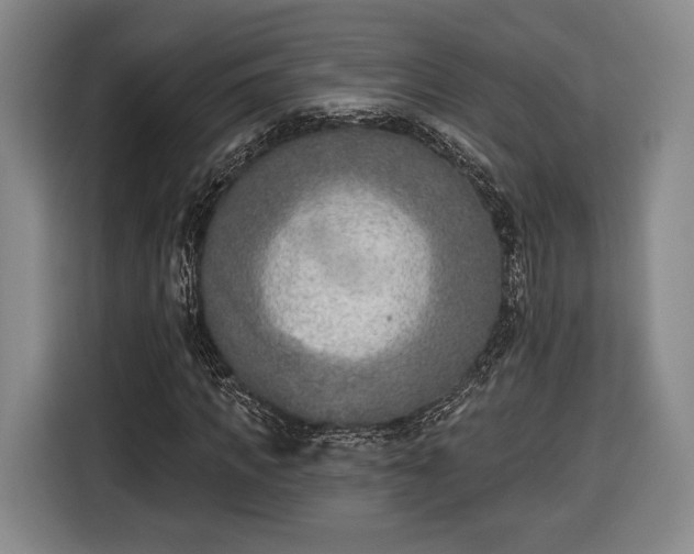 X0000116650917200912211444