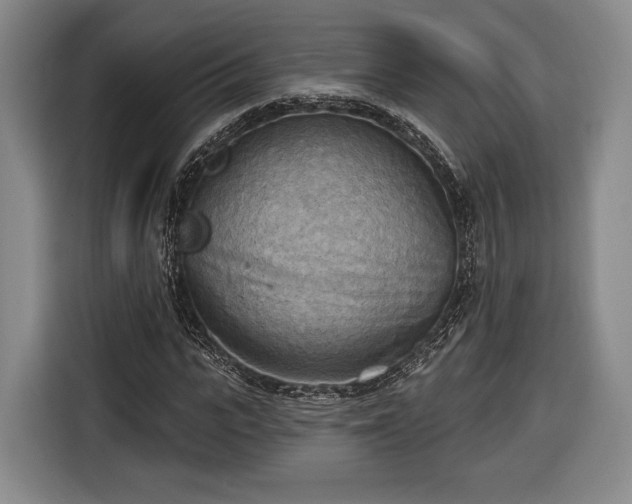 X0000116650919200912211444