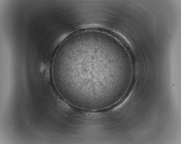 X0000116650921200912211444
