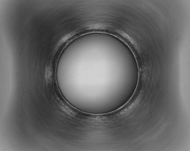 X0000116650922200912211444