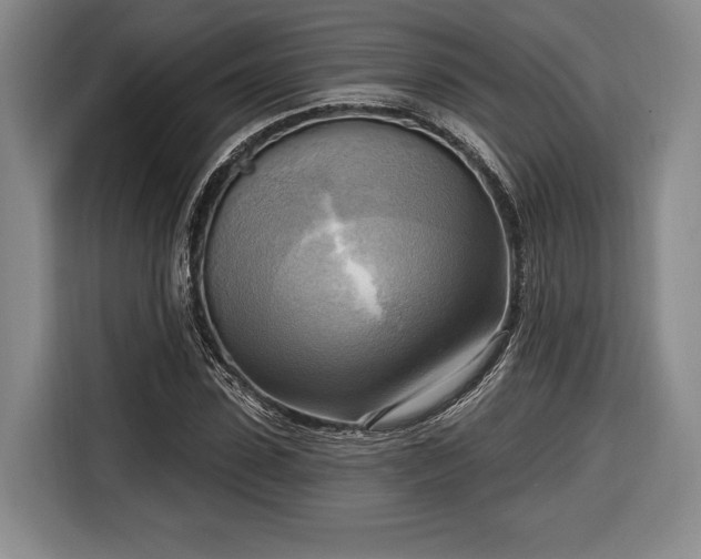 X0000116650923200912211444