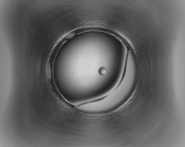X0000116650925200912211444