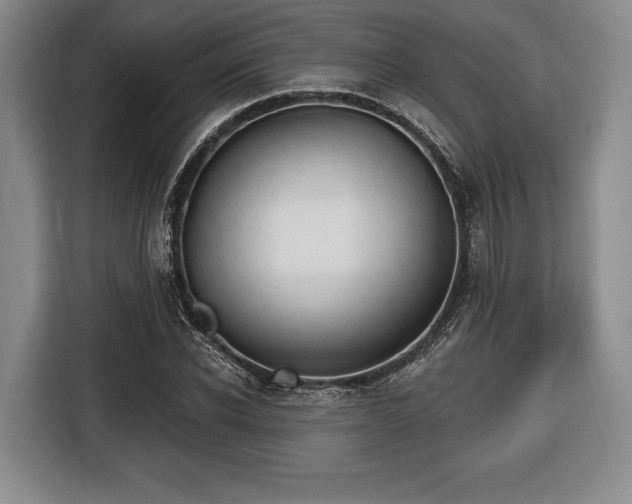 X0000116650926200912211444