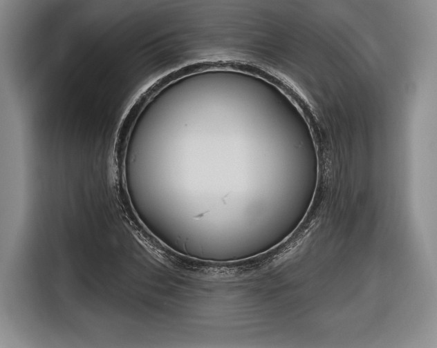 X0000116650927200912211444