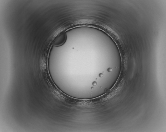 X0000116650929200912211444