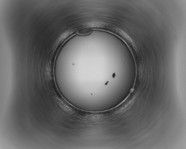 X0000116650930200912211444