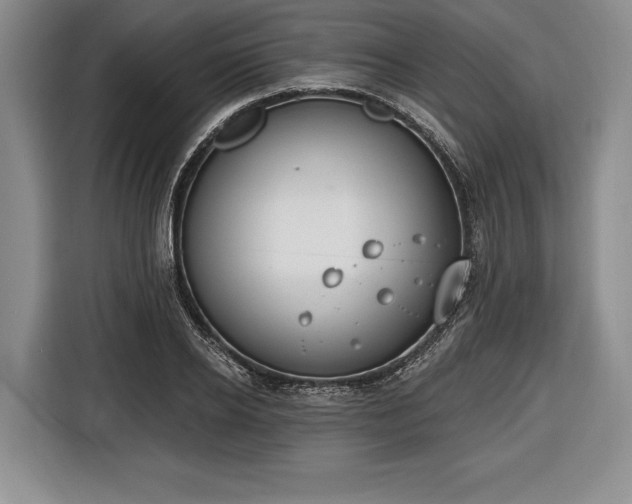 X0000116650934200912211444