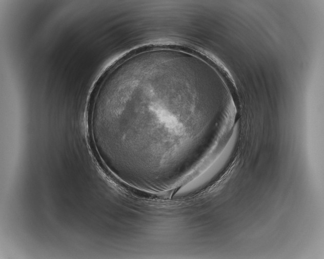 X0000116650935200912211444