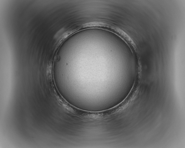 X0000116650937200912211444