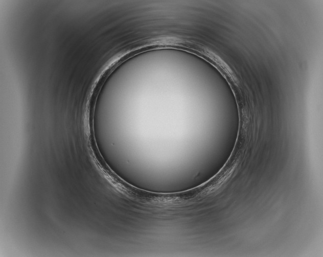 X0000116650939200912211444