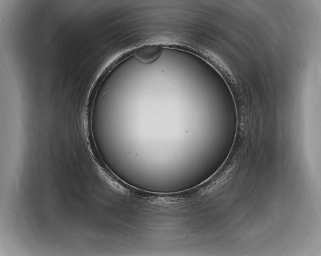 X0000116650942200912211444