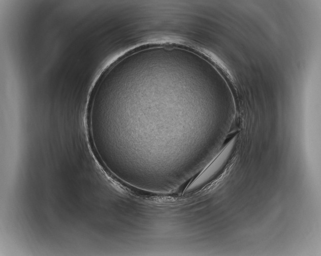 X0000116650943200912211444