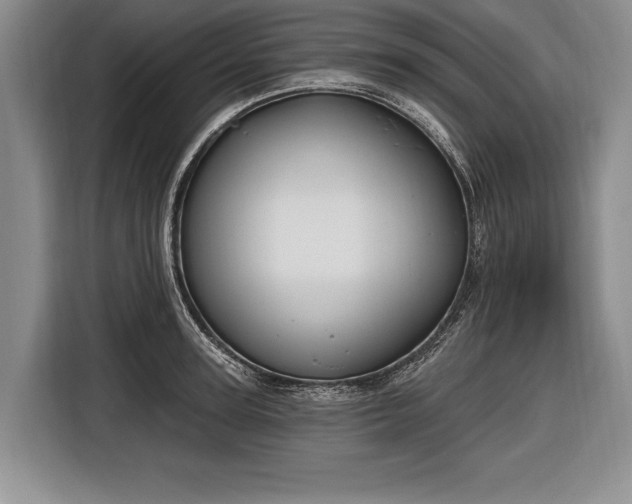 X0000116650947200912211444