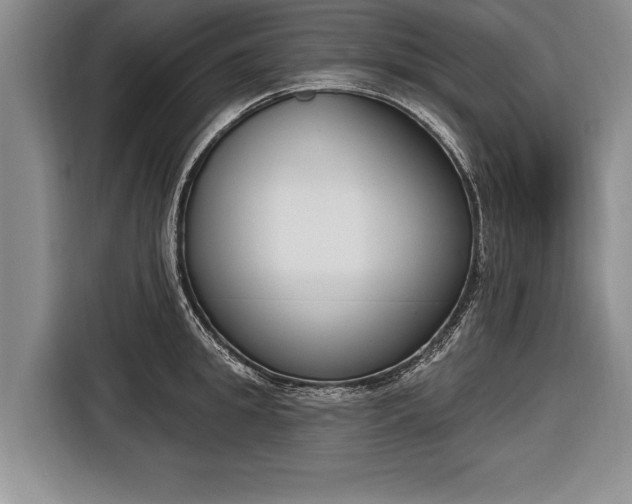X0000116650949200912211444