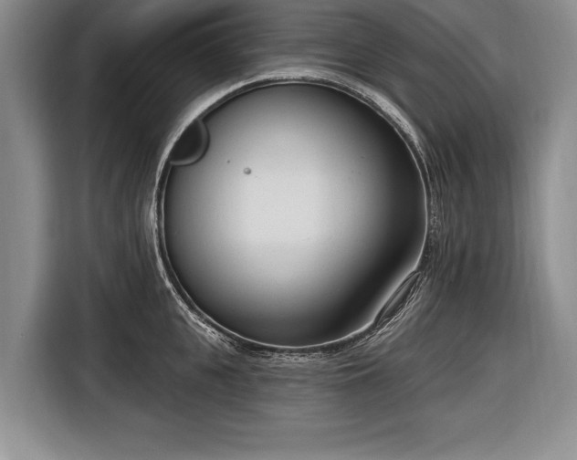 X0000116650951200912211444