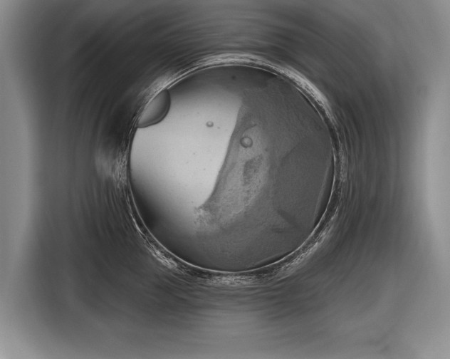 X0000116650953200912211444